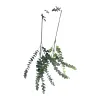 Artificial eucalyptus leaves, branches, green artificial tree flower stems, fruit slices for decoration Item Picture